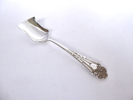 Victorian Sugar Spoon