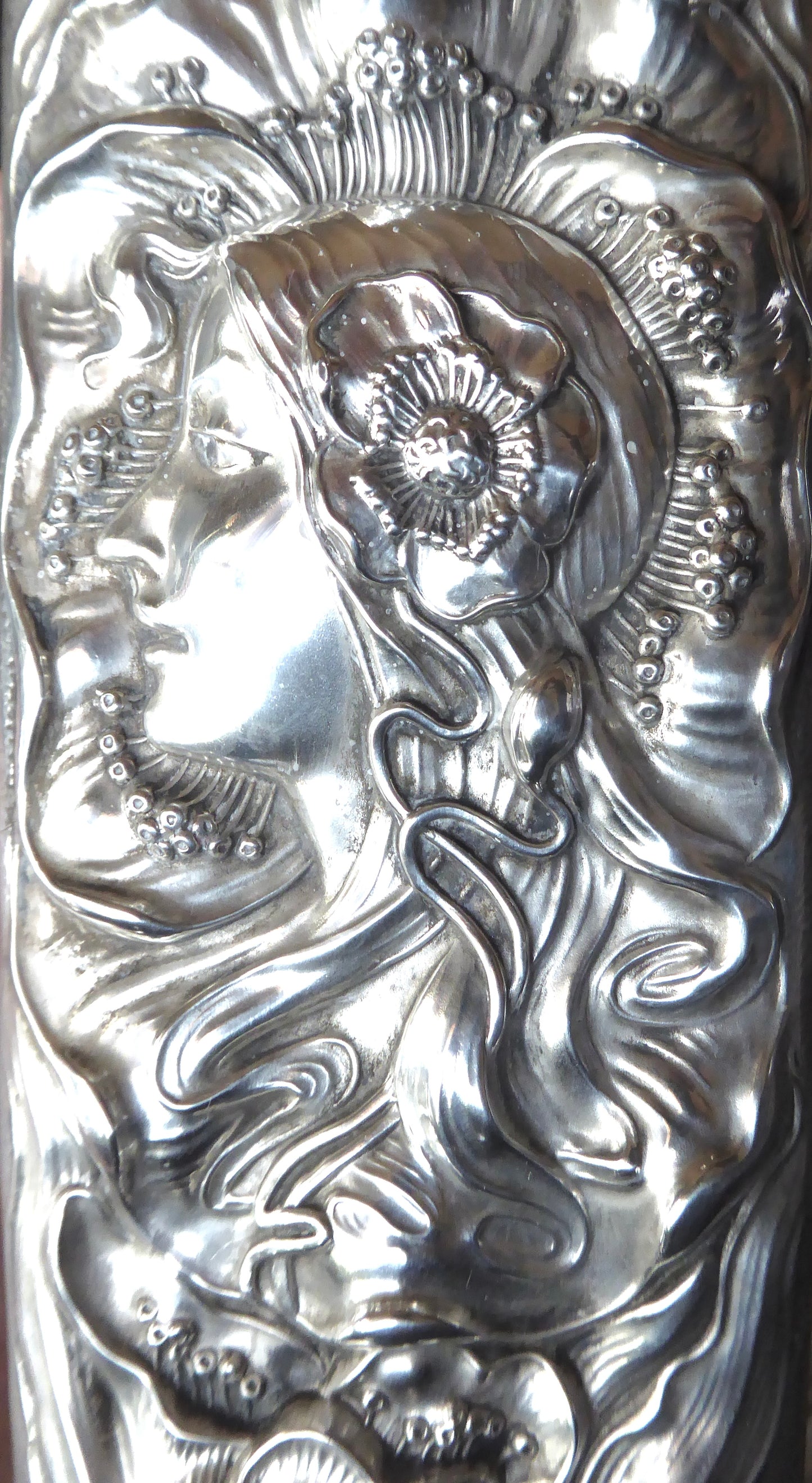 Art Nouveau Clothes Brush 1903