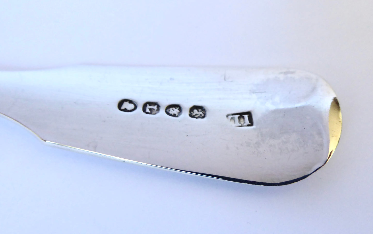 Silver Fish Slice 1806