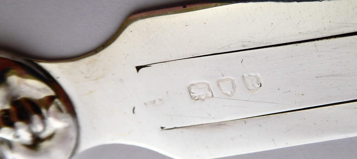 Man in The Moon Book Mark 1892