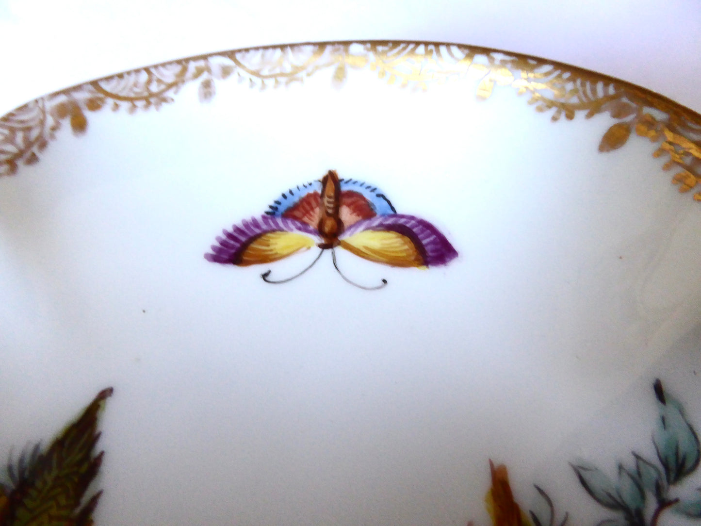 Dresden Chocolate Cup & Saucer