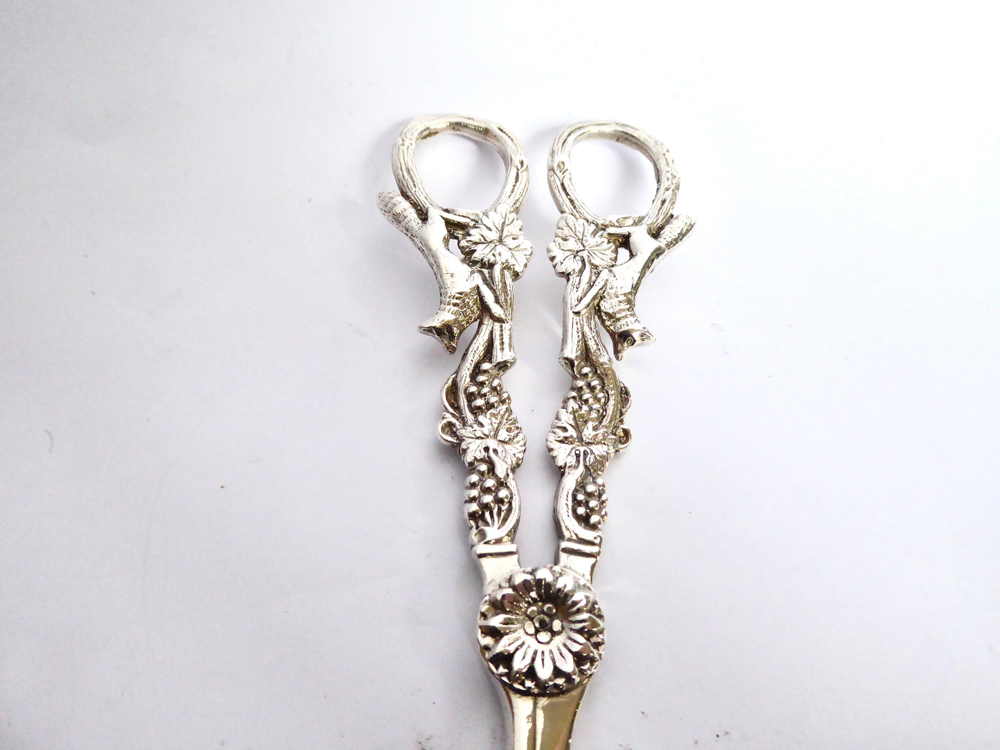 Silver Grape Scissors