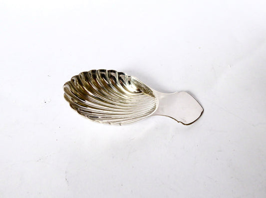 Silver Tea Caddy Spoon