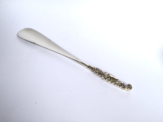 Silver Handle Shoe Horn