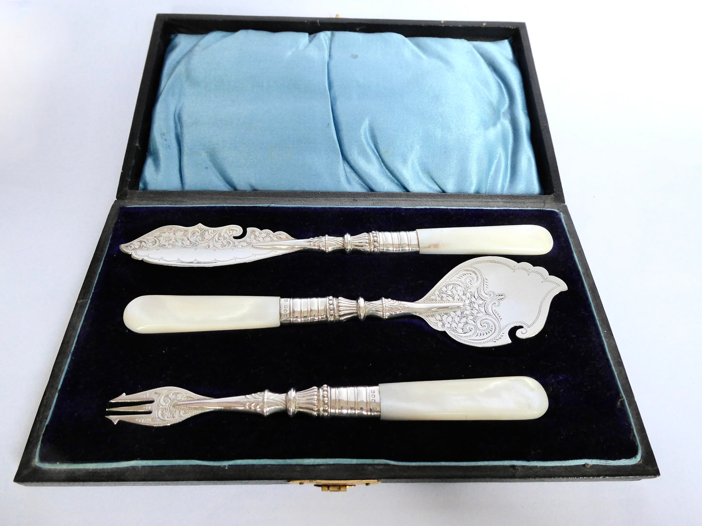 Butter Knife Set 1896