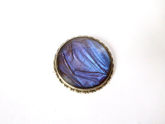 Circular Butterfly Wing Brooch