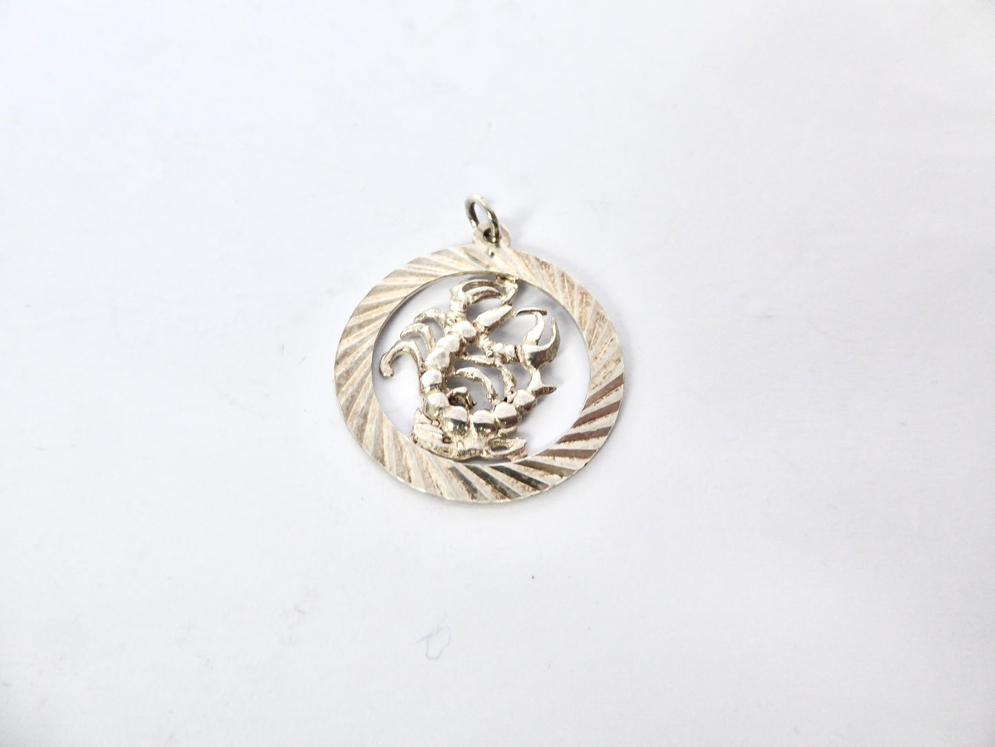 Silver Zodiac Pendant