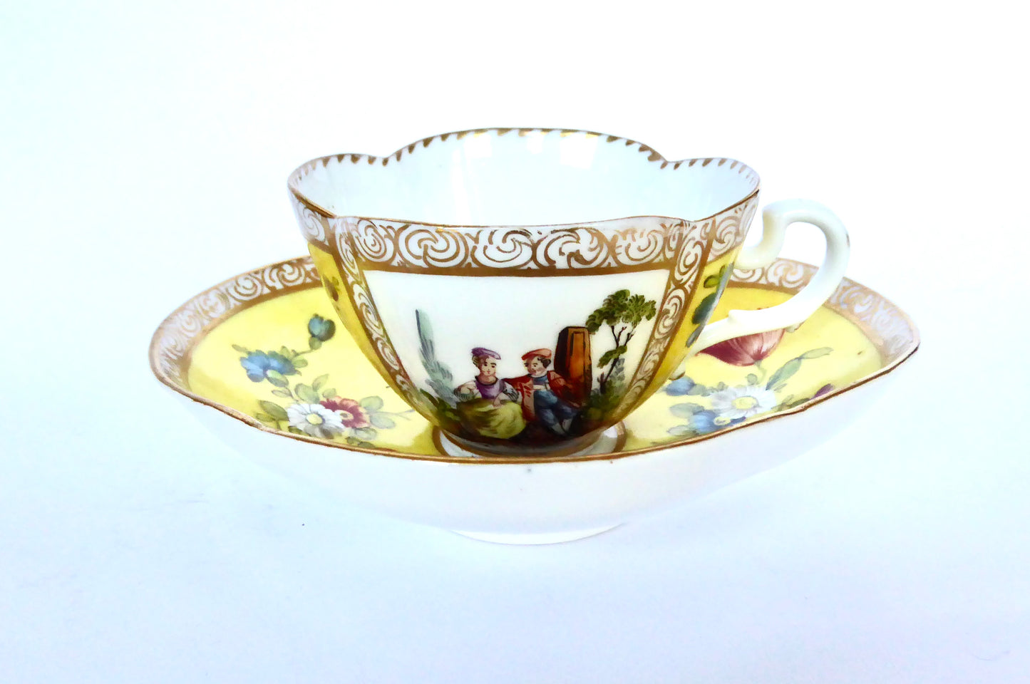 Dresden Cup & saucer- Yellow Ground