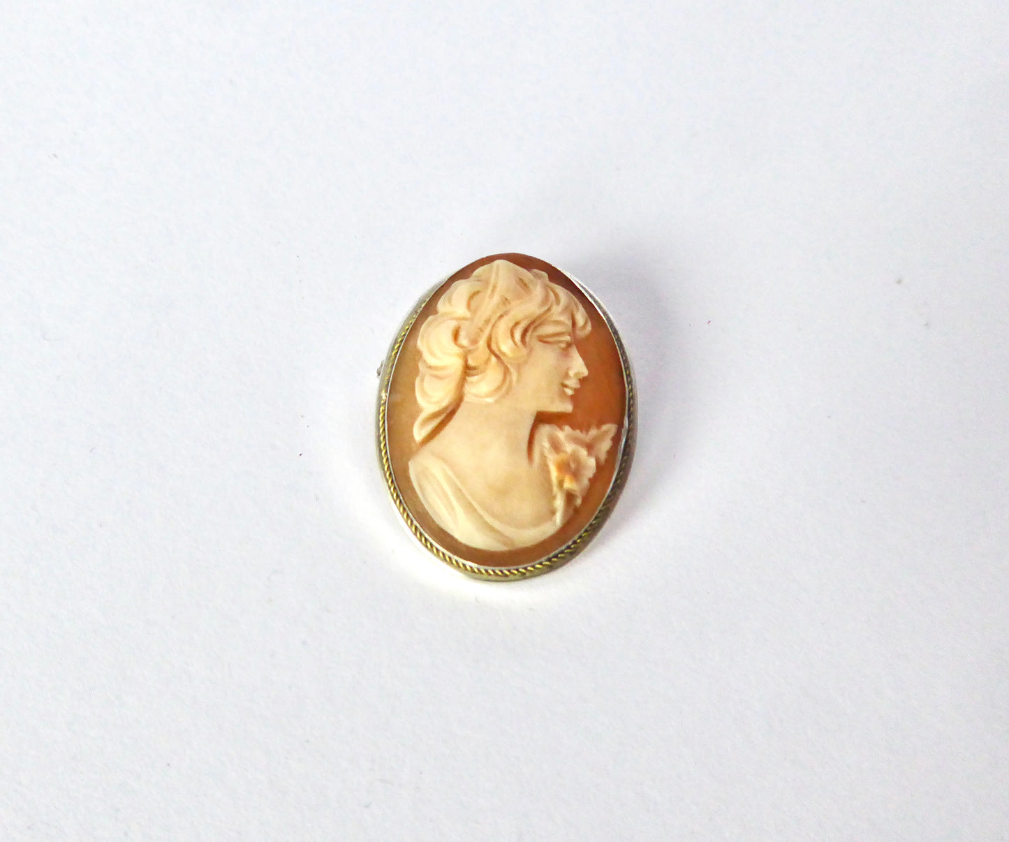 Cameo Brooch/Pendant