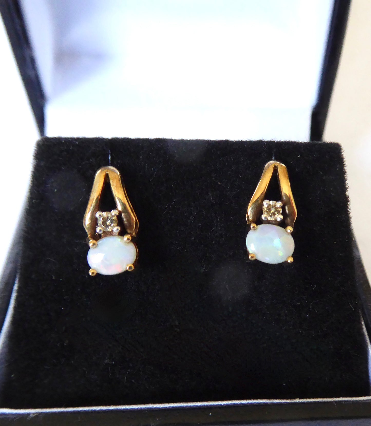 Opal Earrings - 10ct.