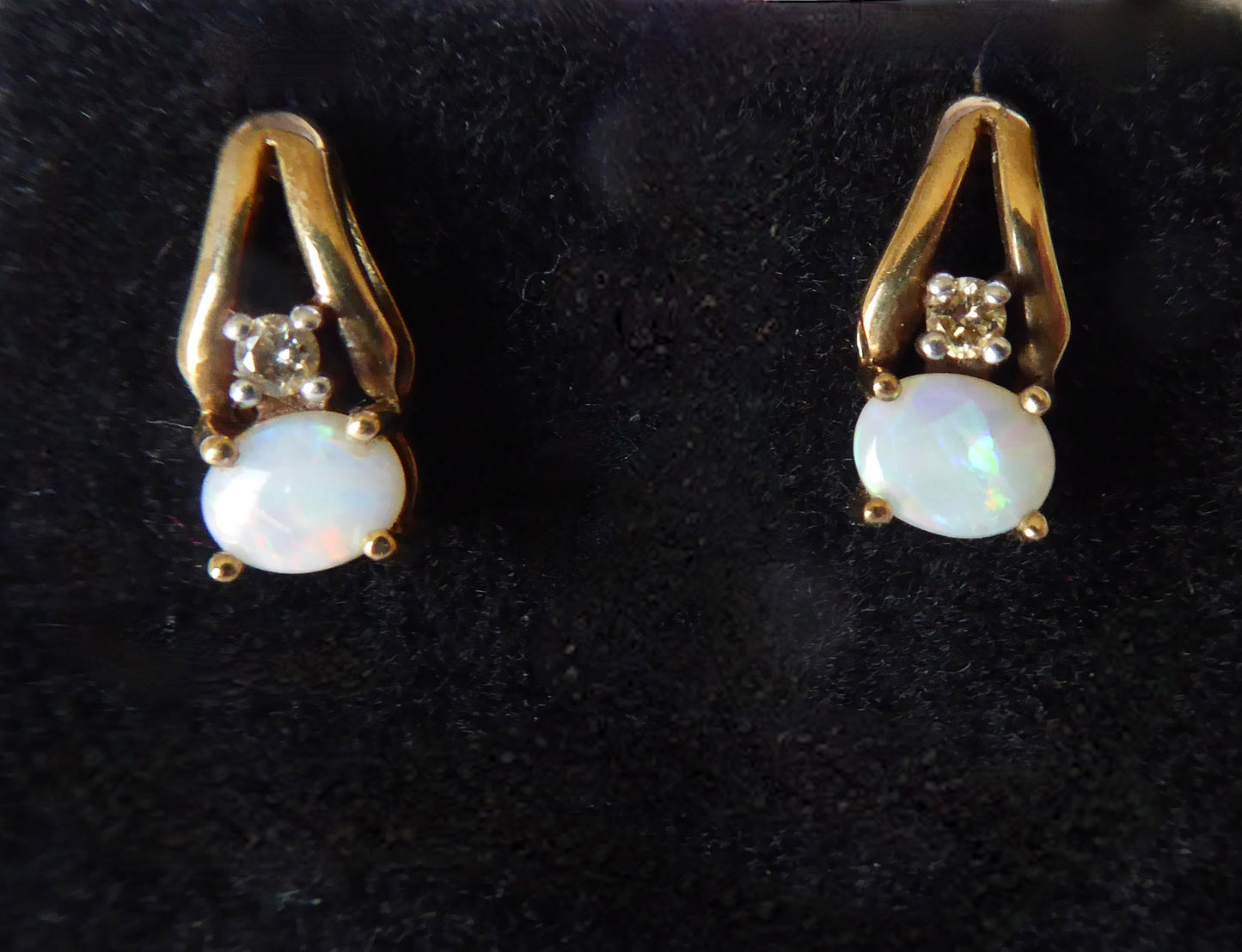 Opal Earrings - 10ct.