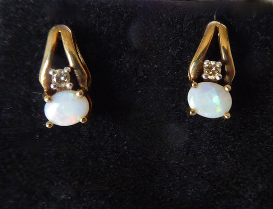 Opal Earrings - 10ct.