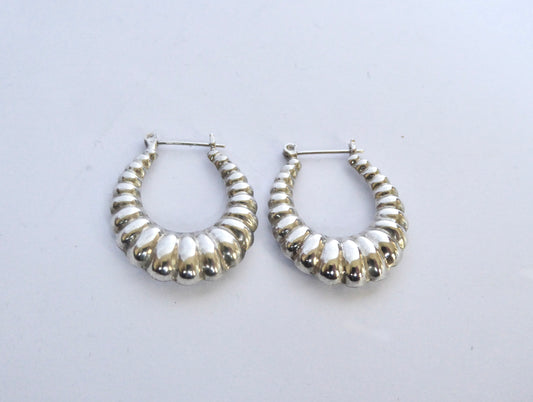 Slver Hoop Earrings