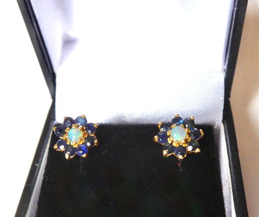 Sapphire & Opal Earrings
