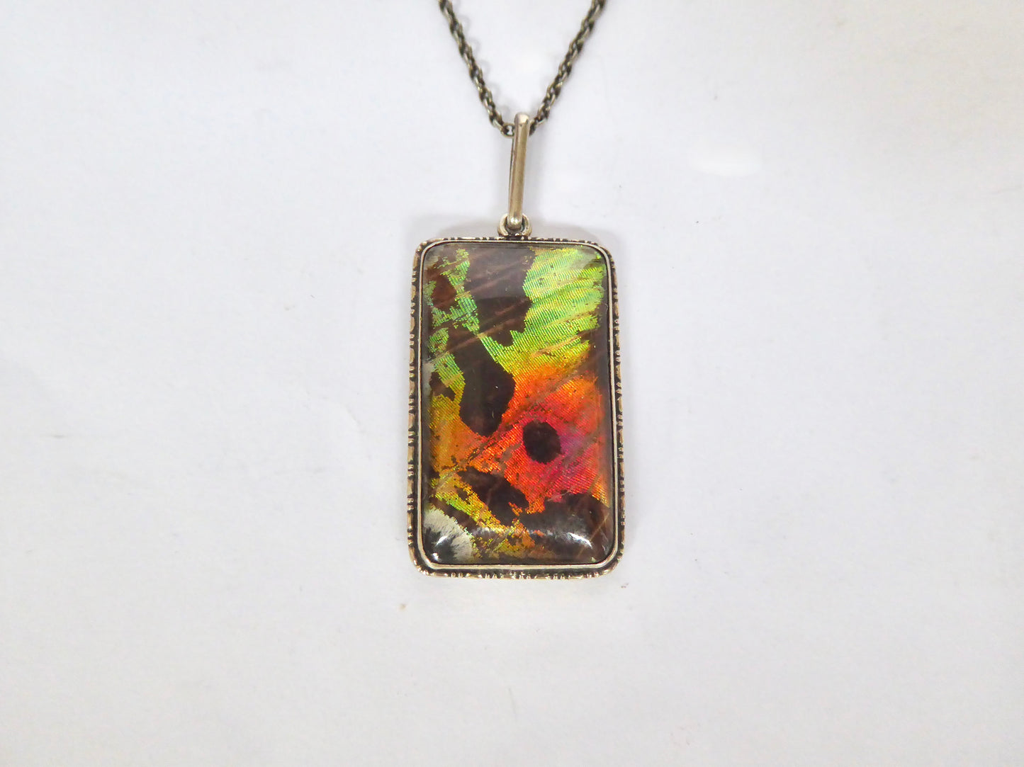Butterfly Wing Pendant - Multi Coloured