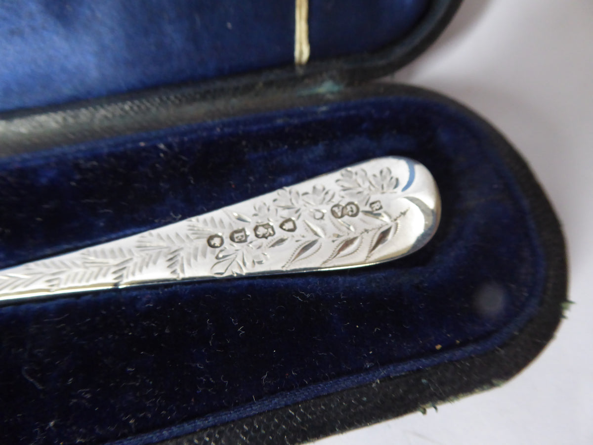 Silver Christening Spoon 1880