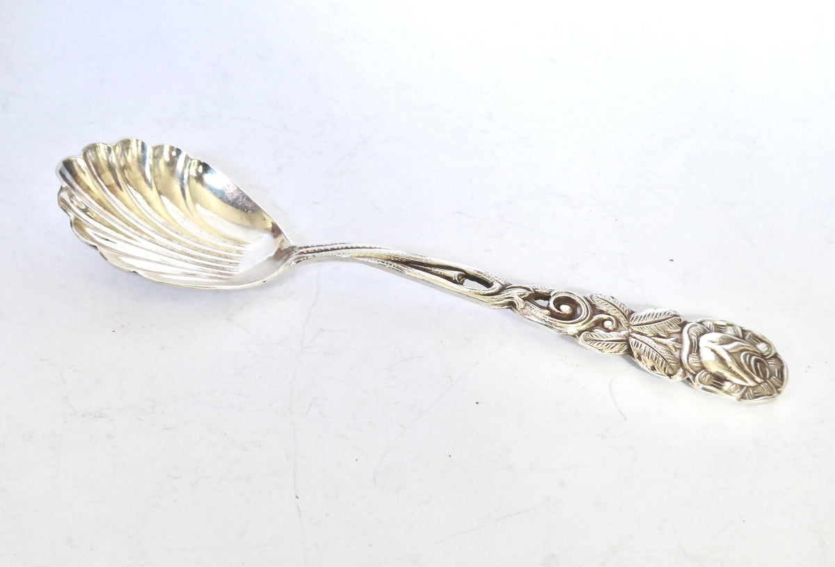 Vintage Sugar Spoon